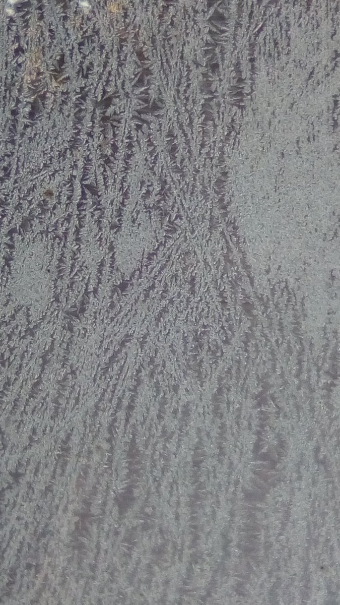 vasy13ionela's tweet photo. #20190107 , #ice , #iceflowers , #frostwork , #window , #jackfrost , #winter #✴ #🕗 #🇲🇩 #🌬️ #❄️ #📷 #📸 https://t.co/q2bXiLCiow