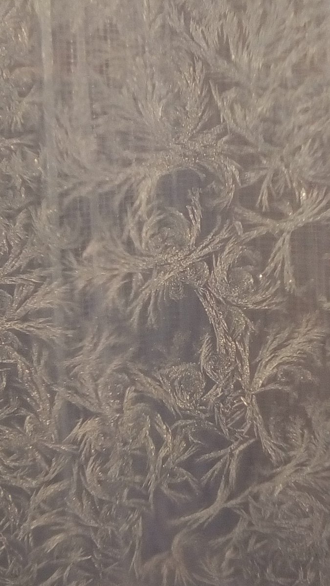 vasy13ionela's tweet photo. #20190107 , #ice , #iceflowers , #frostwork , #window , #jackfrost , #winter #✴ #🕗 #🇲🇩 #🌬️ #❄️ #📷 #📸 https://t.co/bSdvNyQ7IW