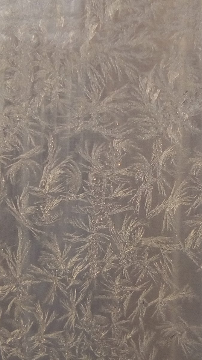 vasy13ionela's tweet photo. #20190107 , #ice , #iceflowers , #frostwork , #window , #jackfrost , #winter #✴ #🕗 #🇲🇩 #🌬️ #❄️ #📷 #📸 https://t.co/bSdvNyQ7IW