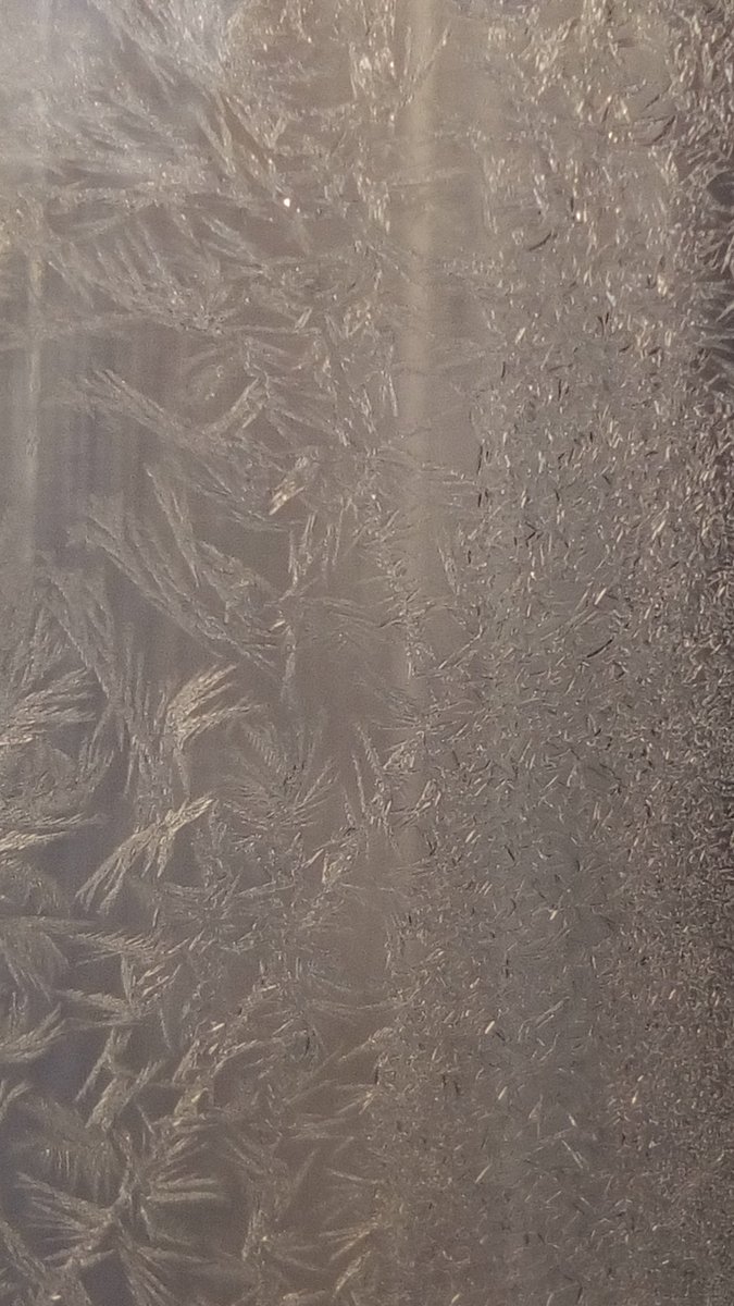 vasy13ionela's tweet photo. #20190107 , #ice , #iceflowers , #frostwork , #window , #jackfrost , #winter #✴ #🕗 #🇲🇩 #🌬️ #❄️ #📷 #📸 https://t.co/bSdvNyQ7IW