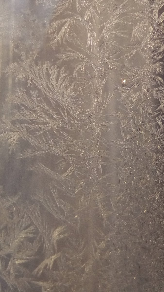 vasy13ionela's tweet photo. #20190107 , #ice , #iceflowers , #frostwork , #window , #jackfrost , #winter #✴ #🕗 #🇲🇩 #🌬️ #❄️ #📷 #📸 https://t.co/bSdvNyQ7IW