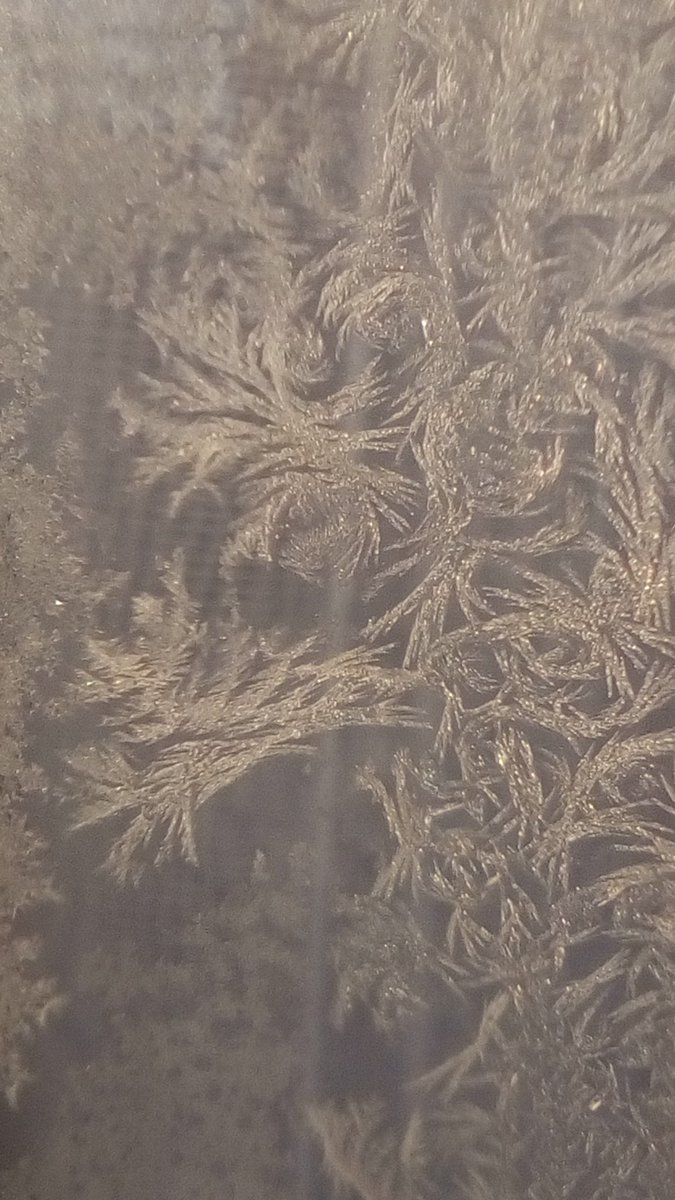 vasy13ionela's tweet photo. #20190107 , #ice , #iceflowers , #frostwork , #window , #jackfrost , #winter #✴ #🕗 #🇲🇩 #🌬️ #❄️ #📷 #📸 https://t.co/1t4ji23Oah