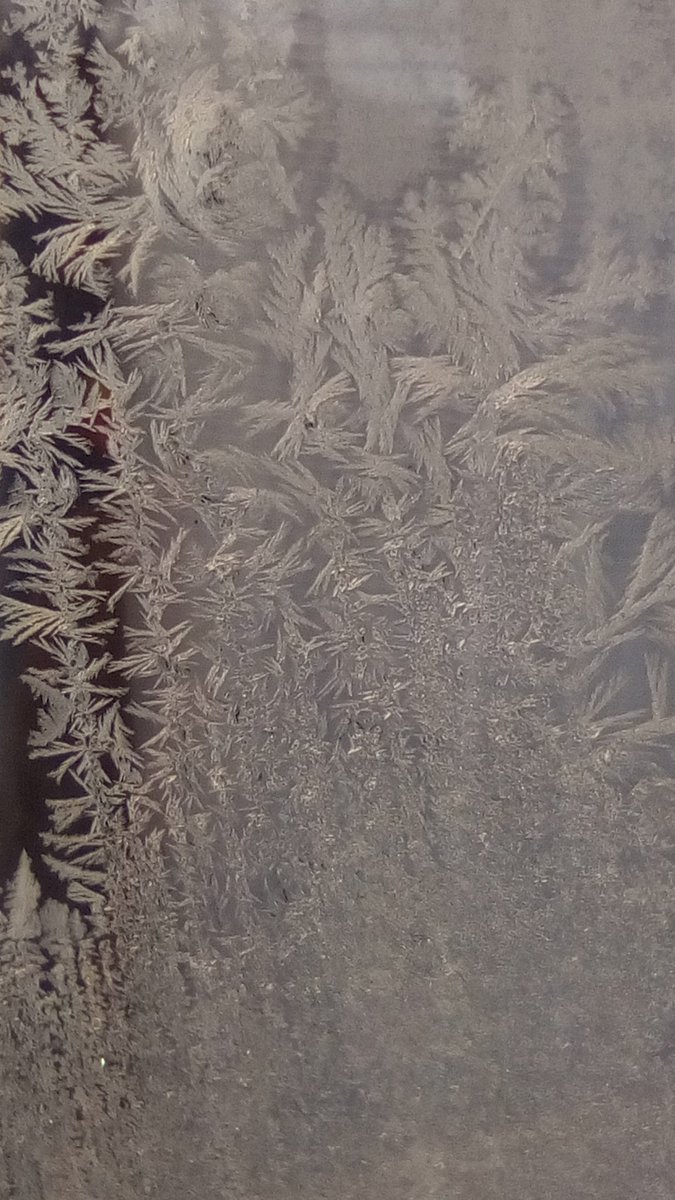 vasy13ionela's tweet photo. #20190107 , #ice , #iceflowers , #frostwork , #window , #jackfrost , #winter #✴ #🕗 #🇲🇩 #🌬️ #❄️ #📷 #📸 https://t.co/1t4ji23Oah