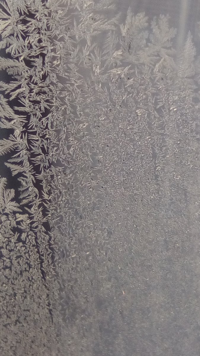 vasy13ionela's tweet photo. #20190107 , #ice , #iceflowers , #frostwork , #window , #jackfrost , #winter #✴ #🕗 #🇲🇩 #🌬️ #❄️ #📷 #📸 https://t.co/1t4ji23Oah
