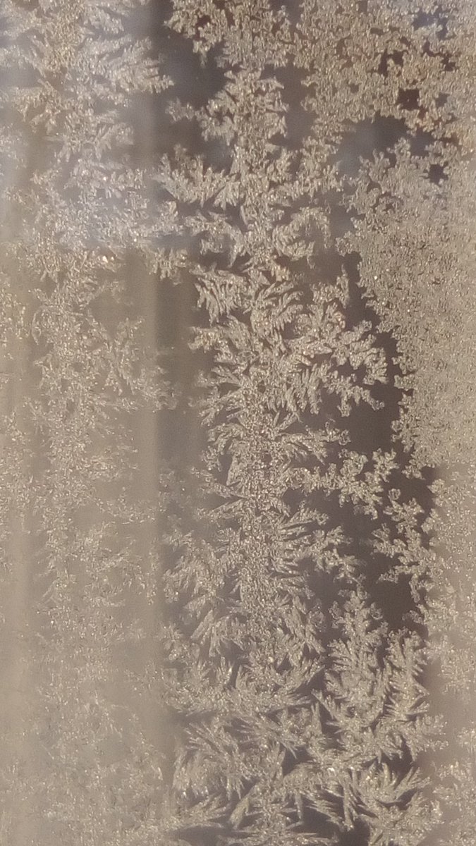 vasy13ionela's tweet photo. #20190107 , #ice , #iceflowers , #frostwork , #window , #jackfrost , #winter #✴ #🕗 #🇲🇩 #🌬️ #❄️ #📷 #📸 https://t.co/kQWtlyfTZT