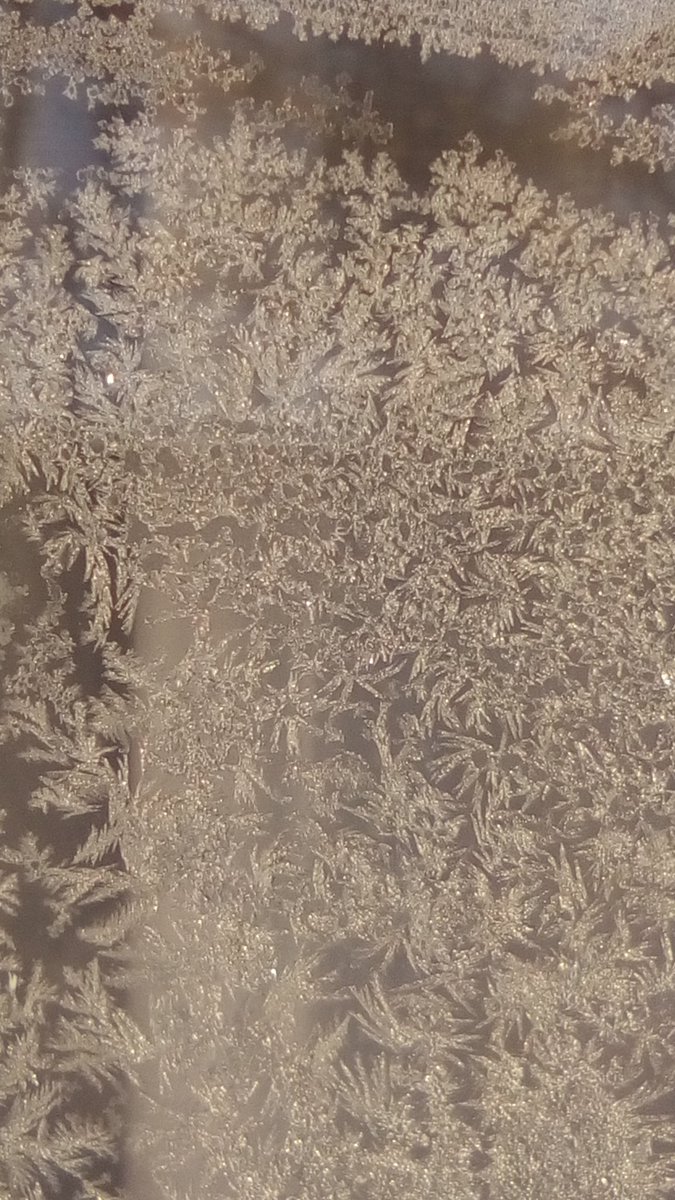 vasy13ionela's tweet photo. #20190107 , #ice , #iceflowers , #frostwork , #window , #jackfrost , #winter #✴ #🕗 #🇲🇩 #🌬️ #❄️ #📷 #📸 https://t.co/kQWtlyfTZT