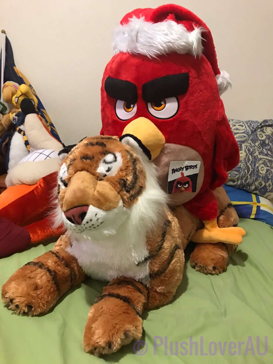 PlushLoverAU's tweet photo. Red loves to ride on my tiger
Red: weeeee 😁 🐯
https://t.co/OTMTiiIp61
(Taken before Christmas last month)
#angrybirds #angrybirdsplush #angrybirdsmovie #plush #plushie #PlushLover #PlushLoverAU #plushphotography #tigerplush #wildrepublic #cuddlekins #tiger #stuffedtiger https://t.co/OyXOHNCUCt