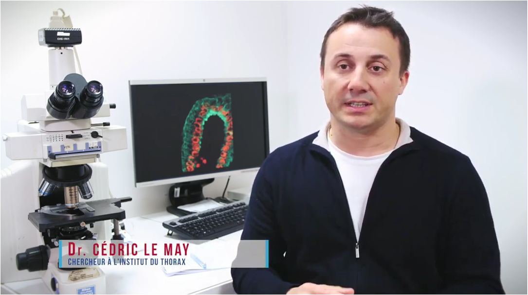 institut_thorax's tweet photo. #Cholesterol: en 4 minutes, découvrez notre recherche et ses 1ers résultats à travers le témoignage d'un patient sur l'#hypercholesterolemie familiale. https://t.co/z7YCbAoDIv
#PCSK9 #TICE #ParisScientifiques https://t.co/K8IMmOmwdF