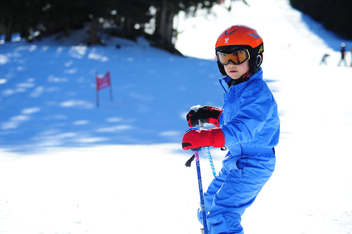 Telligo's tweet image. 