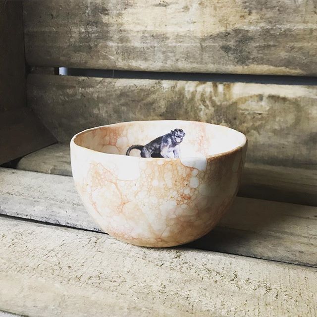 Fallow_Deer_Art's tweet photo. White and orange bowl with a monkey hiding in it! Remember there’s 20% off in my Etsy shop 🤩 #ceramics #handmade #homedecor #artanddesign #monkey #monkeybowl #bowl #ceramic #handmadeceramics #animalart #tropicaldecor #tropical https://t.co/9vdEXNZXbL