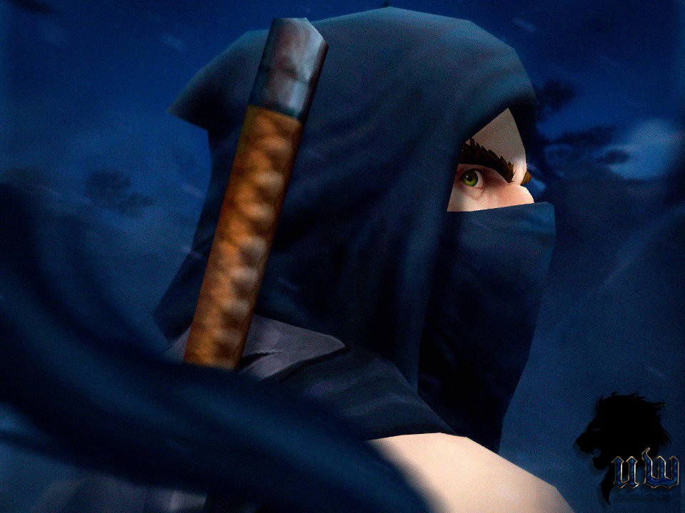 UltimoWoW's tweet photo. Psst, psst, soy yo... si... tu compañero el ninja shhh, solo quería avisarte de que llegas tarde como este tweet al evento de la Feria de la Luna Negra 🐼, ¡comenzó ayer! #WorldofWarcraft #UltimoWoW #WotLK #FotLK #335a https://t.co/8ayVdXlHKq