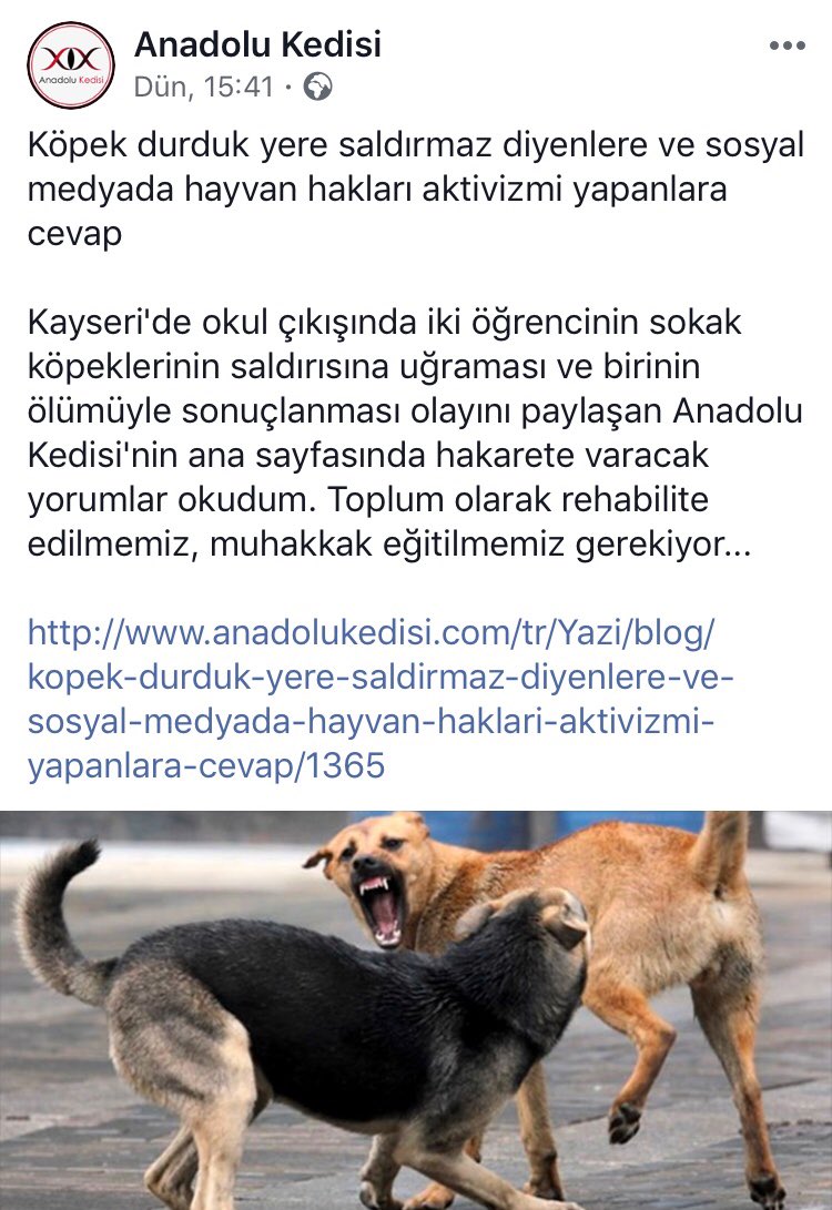 baybarsogullari's tweet photo. @sosyopet Bu sayfa 👇🏻@AnadoluKedisi  face hesaplarına bakın lütfen sokak canlarını savunmasız hayvanları hedef gösteriyorlar 😢 https://t.co/OiwVM1FsGv