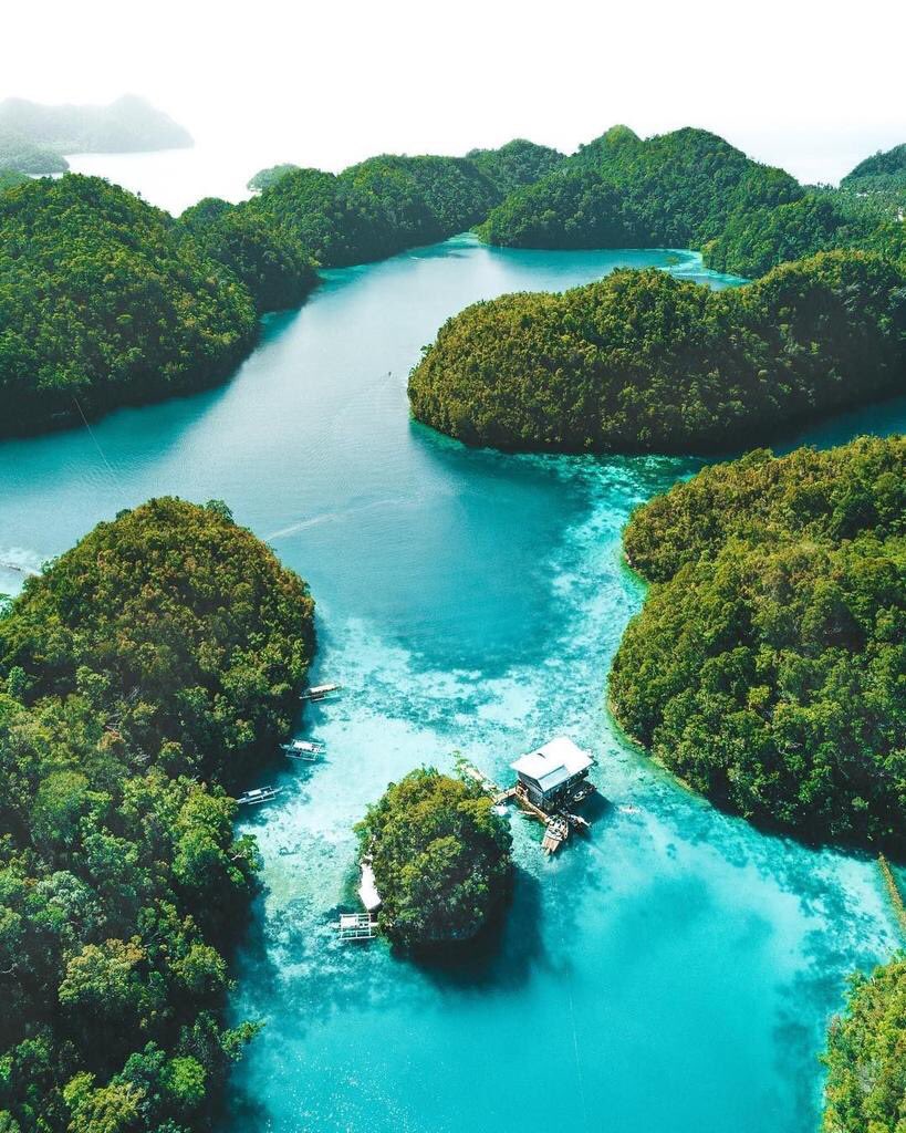 ���� ���� ������ �� ���� ������