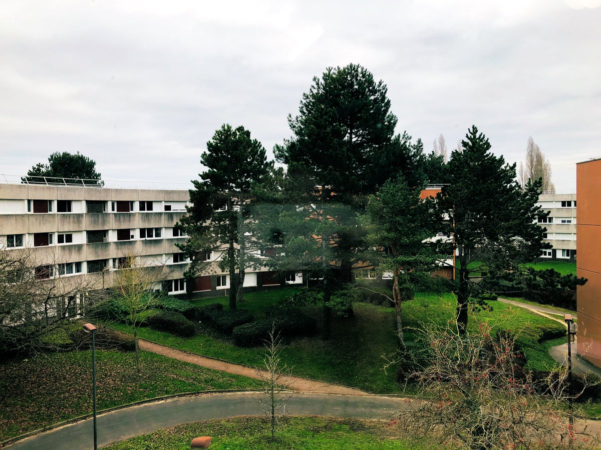 XProjets's tweet photo. Bonne rentrée à tous ! À @Polytechnique, il ne fait peut-être pas beau, mais on commence cette année 2019 avec le sourire et plein de beaux projets 💪#WeAreJE #XProjets #WorkHard https://t.co/wdV5PG78B0