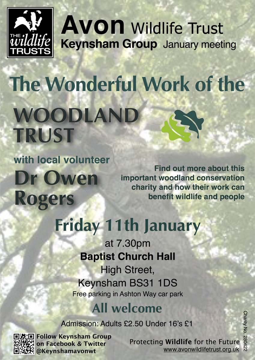 keynshamavonwt's tweet image. Join us for our first evening talk of 2019 this Fri, 11th Jan, with Owen Rogers of @WoodlandTrust All welcome! @avonwt @keynshamvoice #talk #naturetalks #localgroups #charity #wildlifetalk