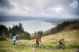 There are many places in Mourne suitable for mountain biking🚵⛰🚵‍♀️! #Rostrevor #Castlewellan #mountainbiking #tracksandtrails #guestphotos