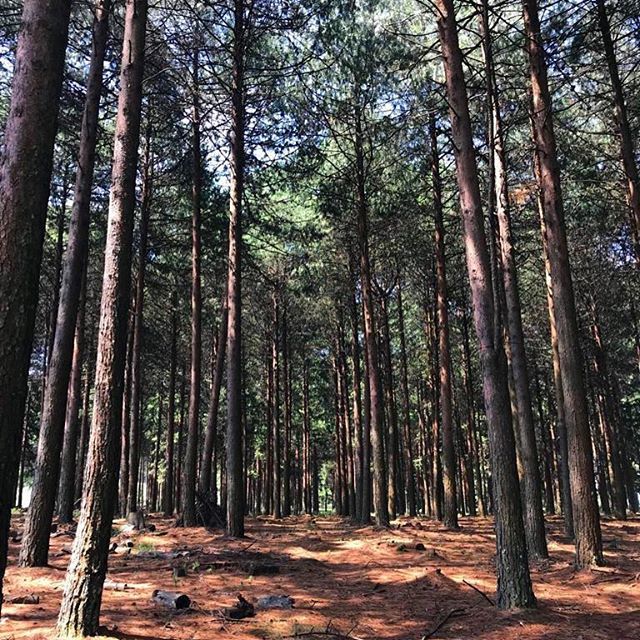 bronwynwilliams's tweet image. Book embryos #futurelibrary bit.ly/2Rfnvse