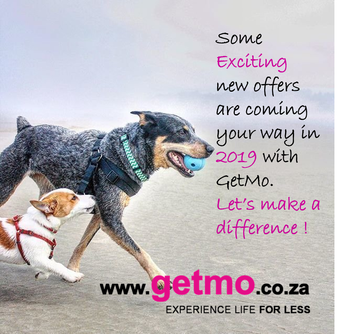 Getmo11 tweet picture