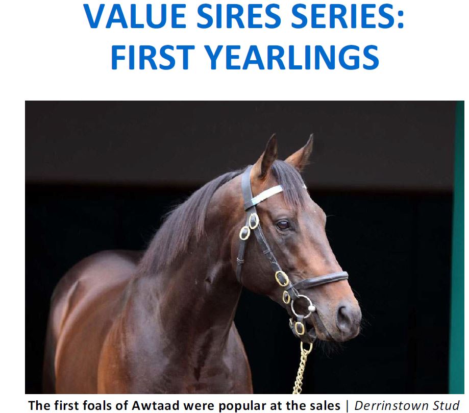 Derrinstown's tweet photo. Good piece in this morning’s #TDN on #valuesires.
#Awtaad and #Markaz hitting the headlines! #value @derrinstown https://t.co/XMUs7PLgY6