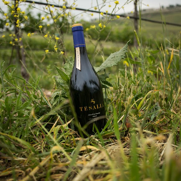 🇪🇸 De los viñedos de la ciudad de Arcos de la Frontera en las montañas de Grazalema, nació en aquellas tierras poco fértiles Tesalia 2015. 

🇬🇧 From the vineyards of the city of Arcos de la Frontera and the mountains of Grazalema, he was born in those little lands Tesalia 2015.