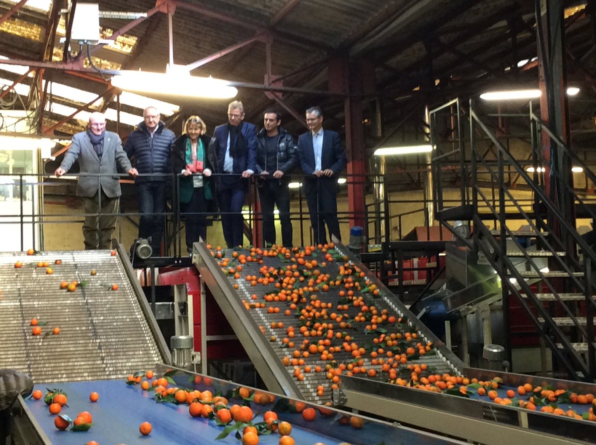 Prefet2A's tweet photo. #Agriculture La préfète de #Corse et le préfet de Haute-Corse visitent ce matin à San Nicolao la station de conditionnement Fruticor et le GIEC Corsica comptoir pour une présentation de la filière "#clémentines" et de ses projets https://t.co/3kdxpmm4vb