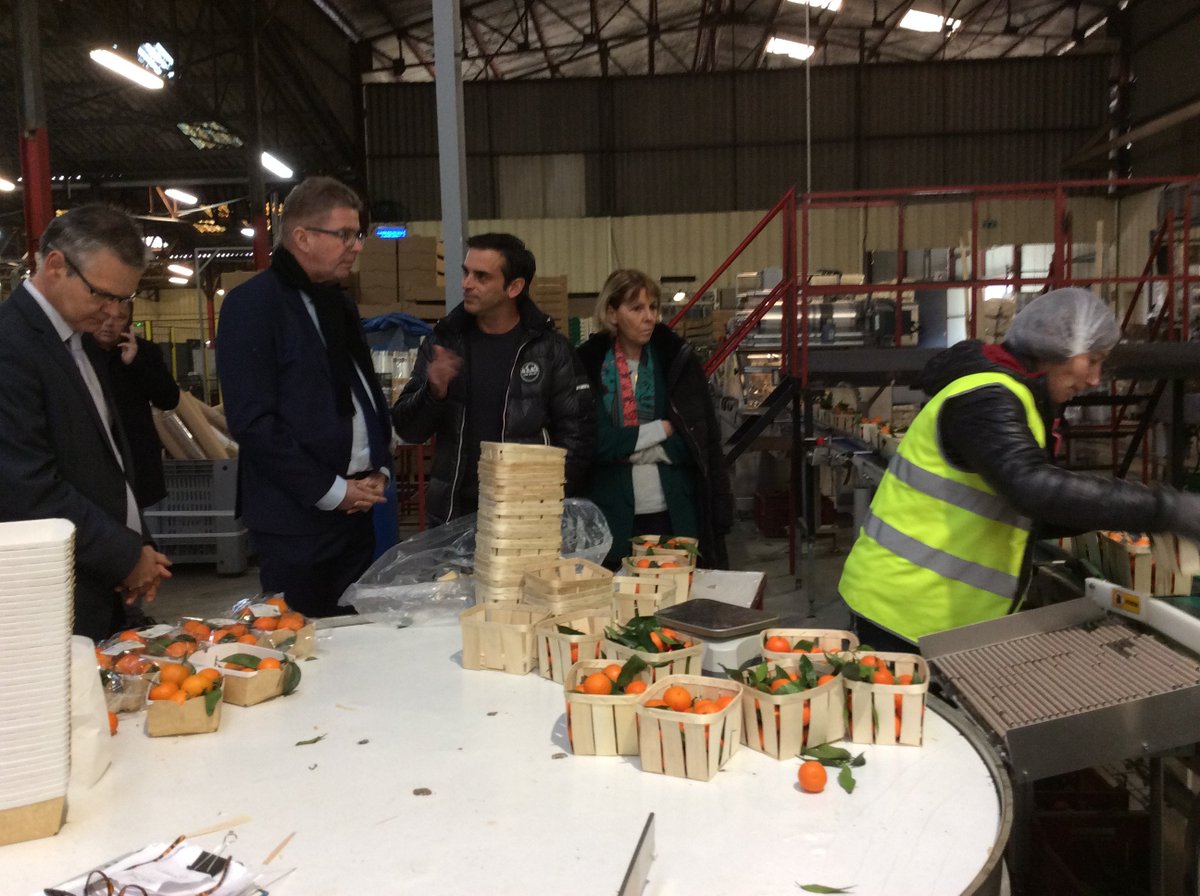 Prefet2A's tweet photo. #Agriculture La préfète de #Corse et le préfet de Haute-Corse visitent ce matin à San Nicolao la station de conditionnement Fruticor et le GIEC Corsica comptoir pour une présentation de la filière "#clémentines" et de ses projets https://t.co/3kdxpmm4vb