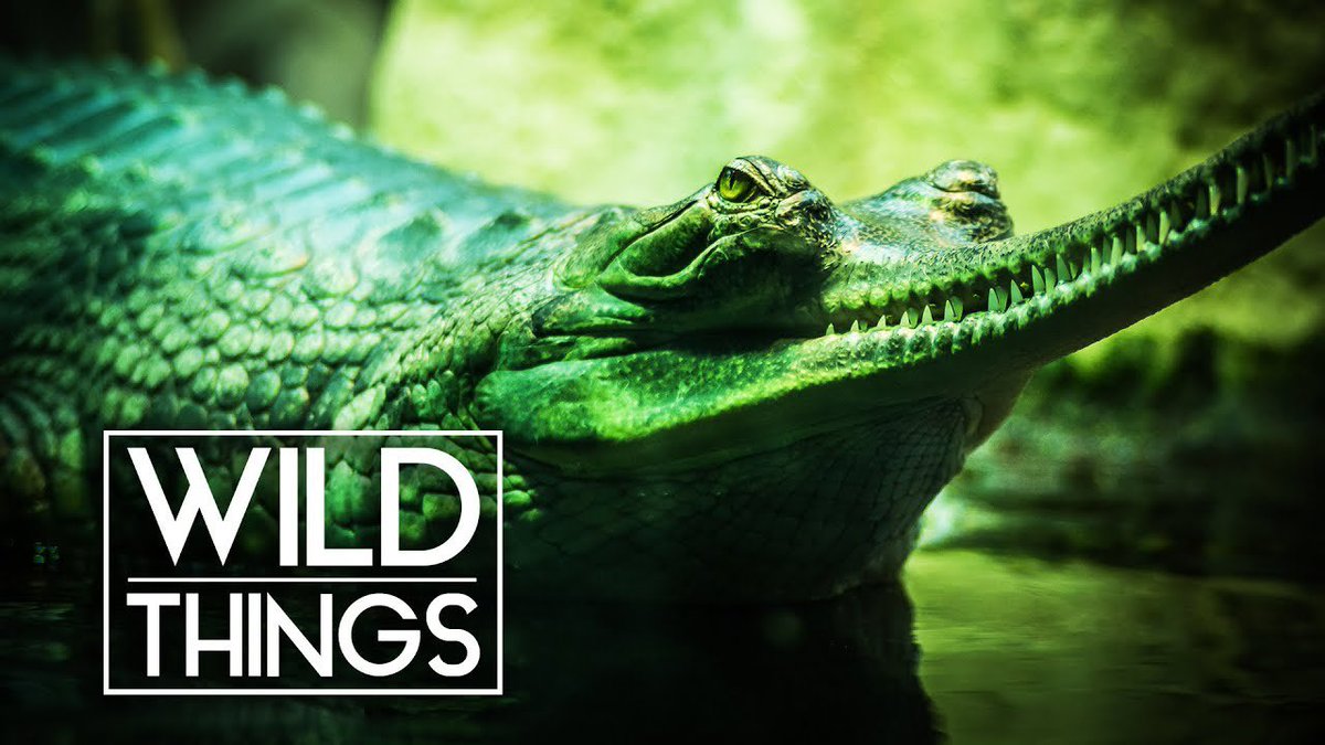 Dr. Solomon David tweet media