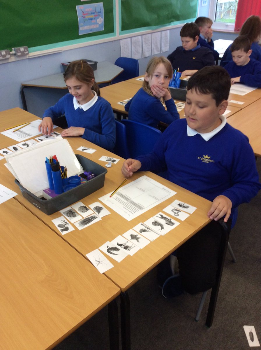 GreenparkKL's tweet photo. Lowry class are devising their own ways of classifying living organisms. #sciencebug - PD https://t.co/xRC65bPais