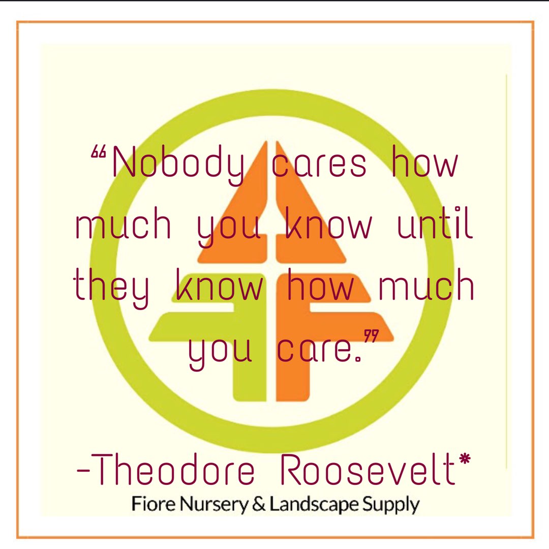 Fiore Nursery & Landscape Supply on Twitter: "It’s a new week, strive