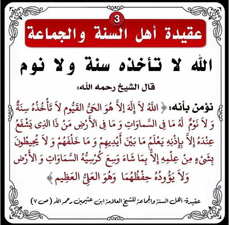 moonlight twitterren ونؤمن بأنه