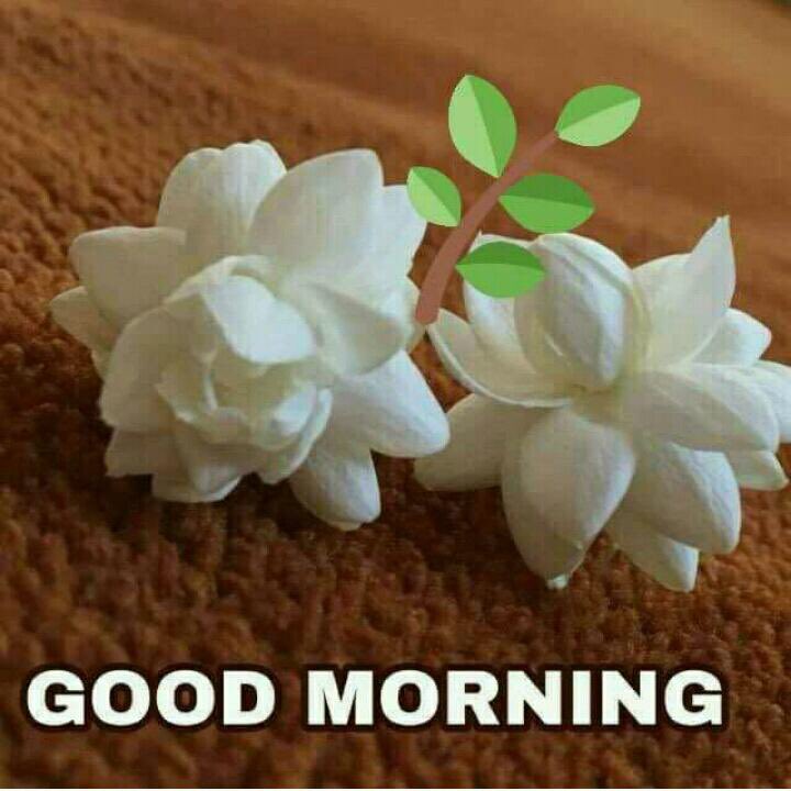 Pravin Chavda tweet media