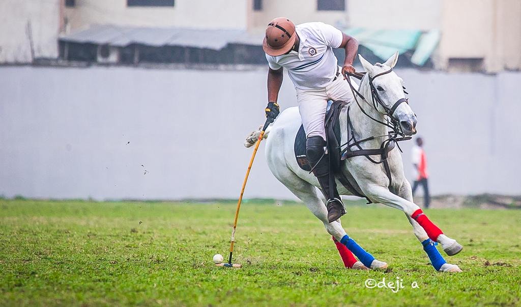 LagosPoloClub's tweet photo. A lovely horse is always an experience. It is an emotional experience of the kind that is spoiled by words. - Joel Edgerton
#lagoslovespolo #lagosplayspolo #PoloClub #BeAPoloPlayer… https://t.co/2F7US4526k