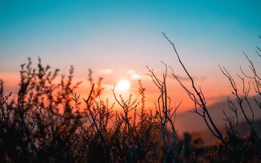 LG_CVLT's tweet photo. With massive growth in #data, rising software costs, #cybersecurity &amp; IT skills shortages, #2019 is going to be a year for cloud-based solutions. Check out this interesting article by @joltsik @CSOonline for more intel: https://t.co/s5QcAfhUAY https://t.co/a9nkC6k5VL