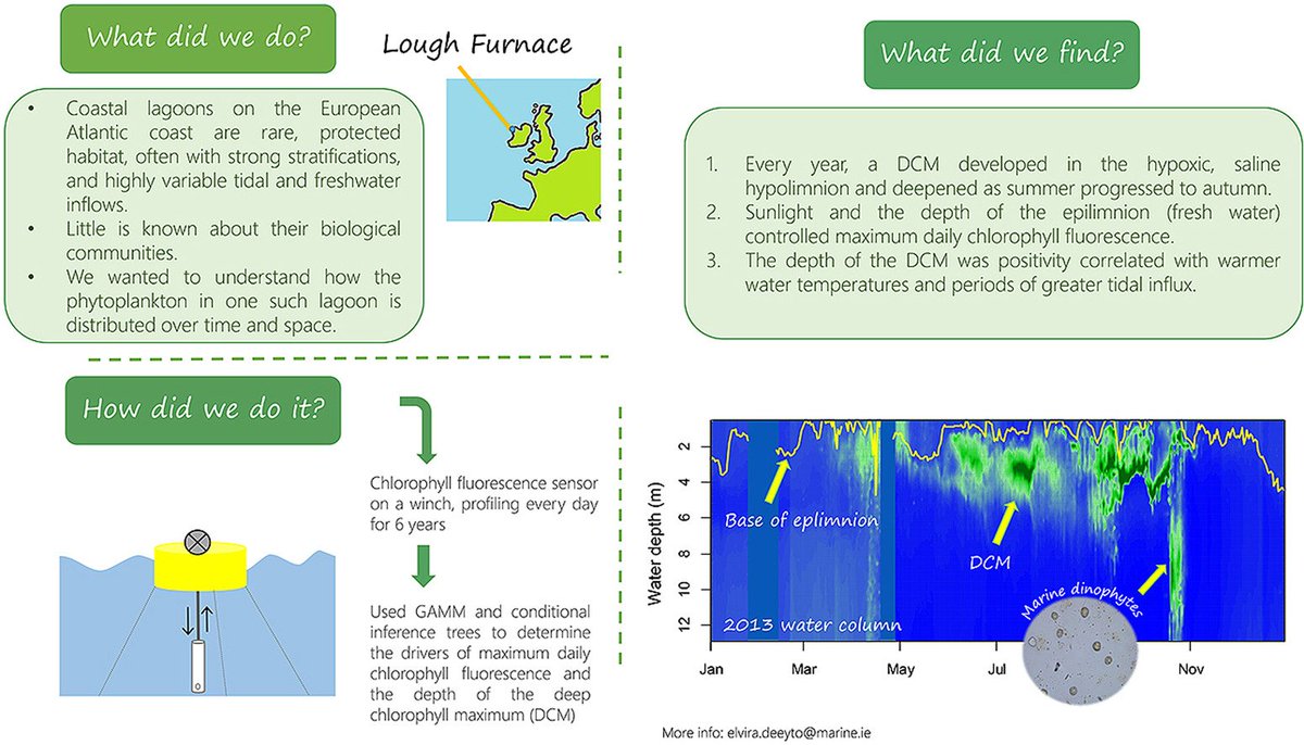 Early view of our new paper about the phytoplankton of Lough Furnace: High frequency monitoring reveals fine scale spatial and temporal dynamics of the deep chlorophyll maximum of a stratified coastal lagoon <a href="/GLEONetwork/">GLEON</a> <a href="/NETLAKE/">NETLAKE</a>  <a href="/MarineInst/">Marine Institute</a> <a href="/ISSLR_/">ISSLR_saline lakes</a> sciencedirect.com/science/articl…