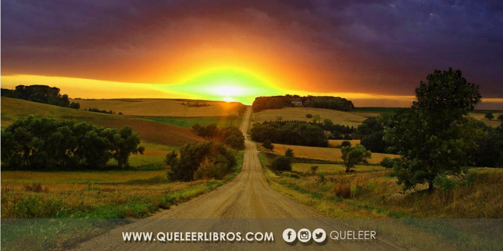 ¿QuéLeer? tweet media