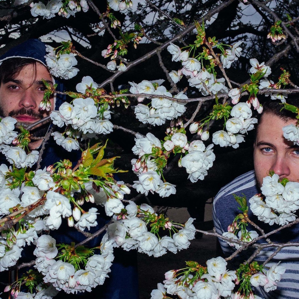 We wish you a wonderful 2k19 🤗
See you around ! 

credits <a href="/_framepictures/">FRAMEpictures</a> 📸