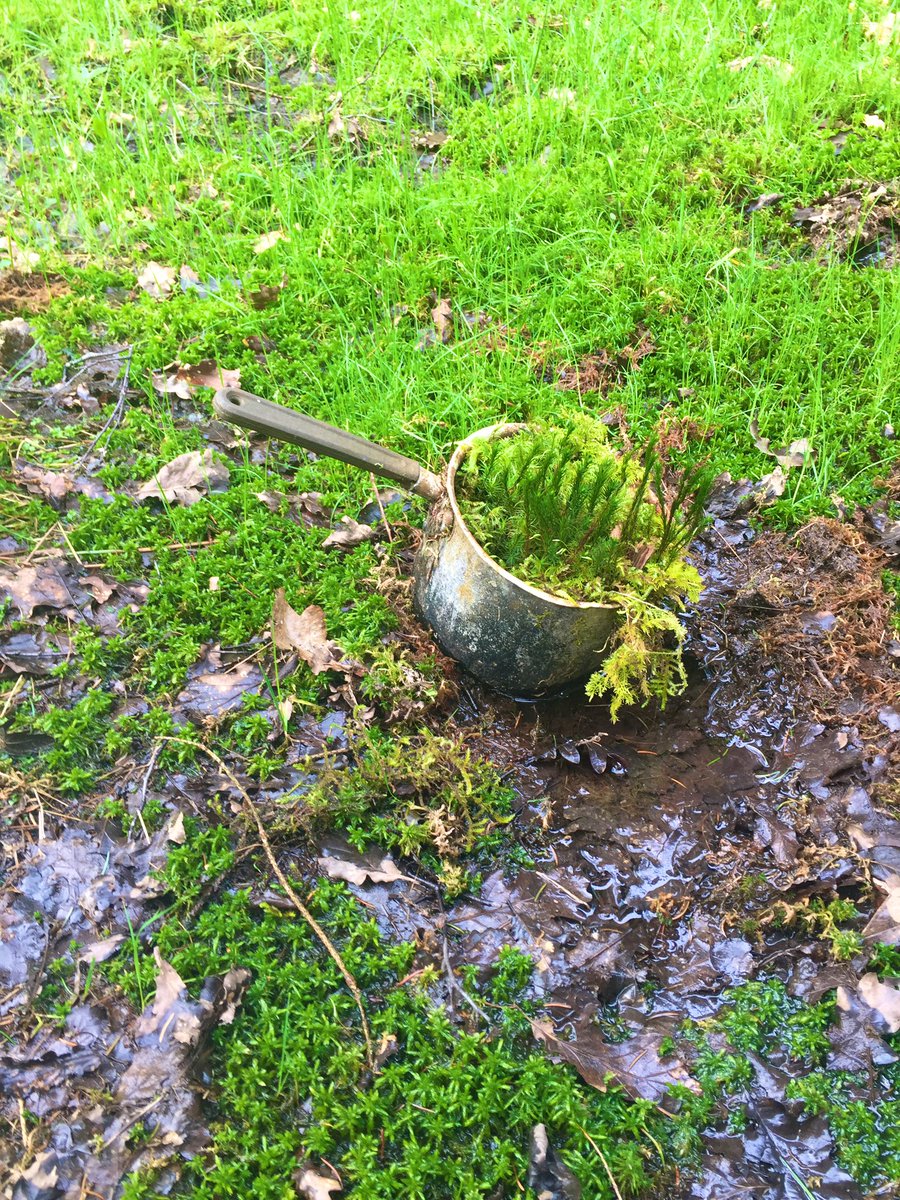WstHighlandWay's tweet photo. Anyone else spot these things while out walking on the West Highland Way? 👀 
#WestHighlandWay 
#ScotlandOnMyPhone #WHW https://t.co/sIJwAJESs6
