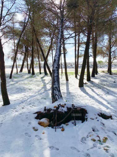 Onlyllibya's tweet photo. أجواء الأمس في منطقة "سيدي الحمري" بـ مدينة  البيضاء ، شاهدو جمال الصور .#ليبيا🌨❄️ https://t.co/KnAu4WhjeR