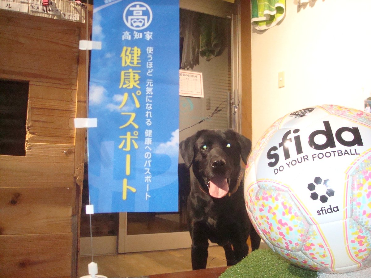 高知家健康パスポート