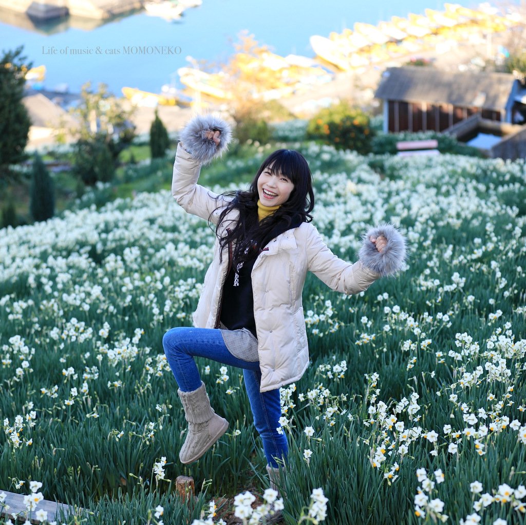 桃猫momoneko 双海町下灘の海岸沿い高台に広がる水仙の丘で 清々しい潮の香りと甘く芳しい水仙の香りに ｲｪｲ ポートレート 写真 水仙 Portrait Portraitphotography Photo Daffodils