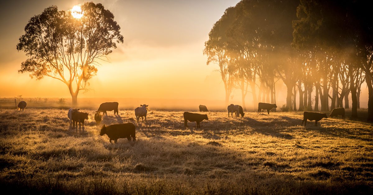 Are you prepared for Making VAT Digital? Our <a href="/HazlewoodsAgri/">Hazlewoods Ag Team</a> team is delivering a cloud accountancy training session on Wednesday 16 January. To find out more, or book your place click here: bit.ly/2RcHcRr