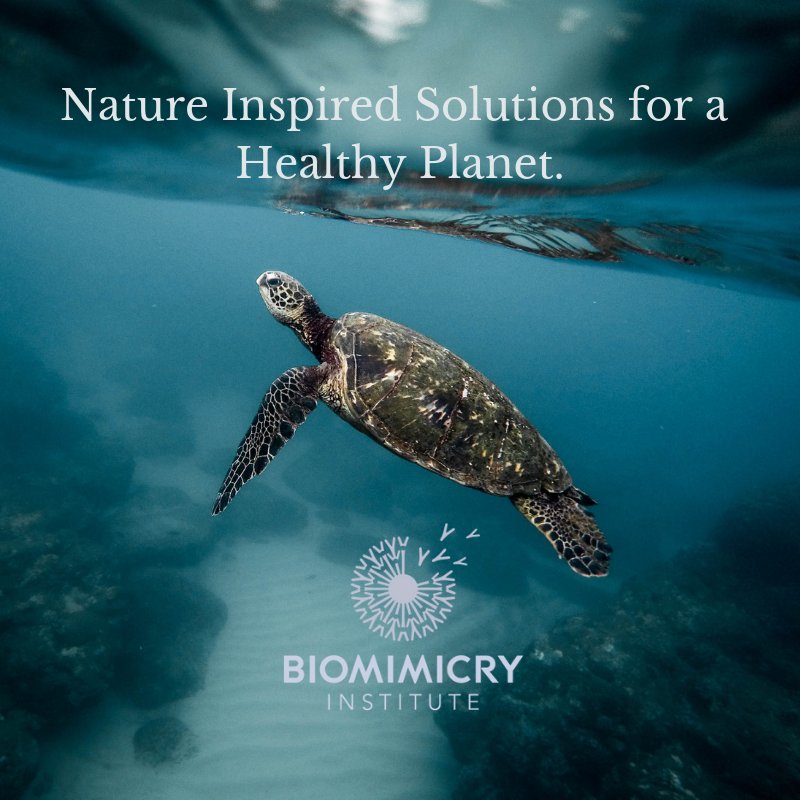 Thanks to your help, we've raised $4.2k from our extended #GivingTuesday campaign, so I'll be donating $5k...but it doesn't seem like enough. Let's get to $10k before the end of January. For each person that follows me and <a href="/BiomimicryInst/">Biomimicry Institute</a> I'll give another dollar. Please share!