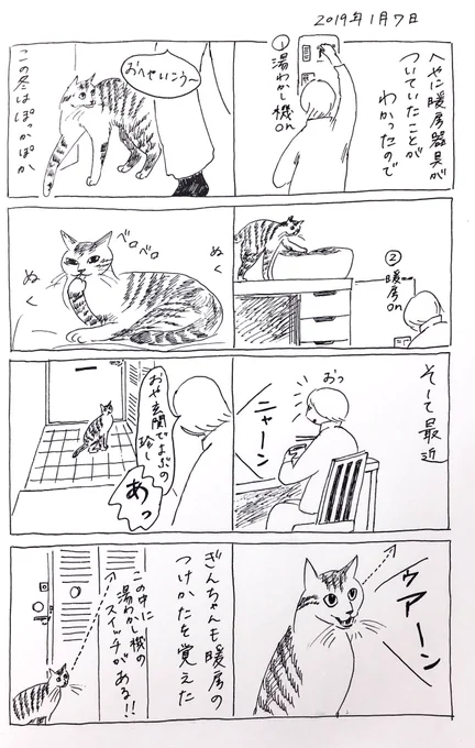 2019/1/7のぎんちゃん  #今日のぎんちゃん 