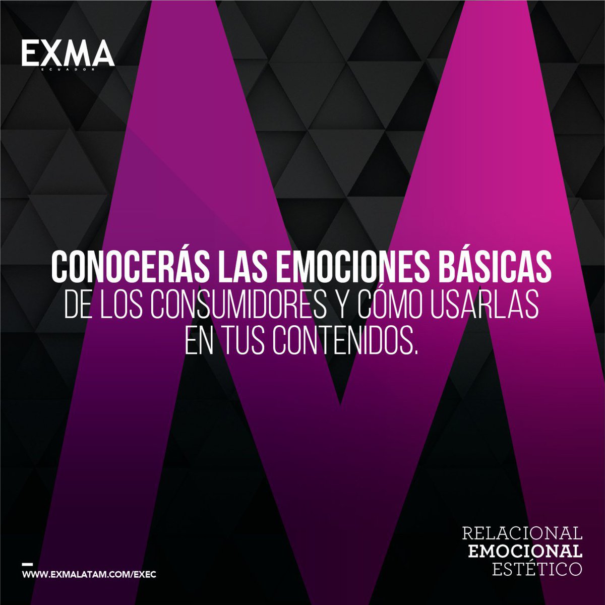 Exma Ecuador tweet media
