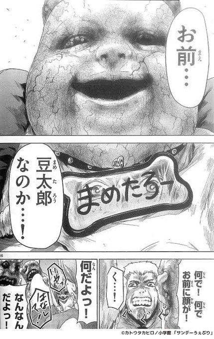 カトウタカヒロ ジンメン全13巻 カクカゾク全4巻 Ogitaka96 さんの漫画 34作目 ツイコミ 仮