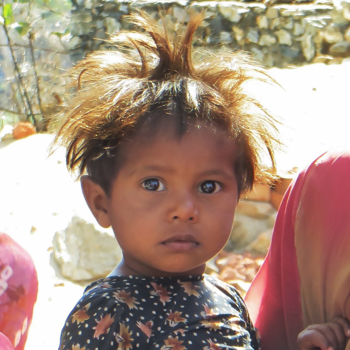 DWCvolunteer's tweet photo. A new day to wake up and be awesome is here!
Want to add a little happiness to lives in a developing society? Consider taking  a volunteering trip with DWC to work on our Water for Life program in India, a place unlike any other one can visit in the world. https://t.co/8KngBQsQam https://t.co/tKJmfgSXMK