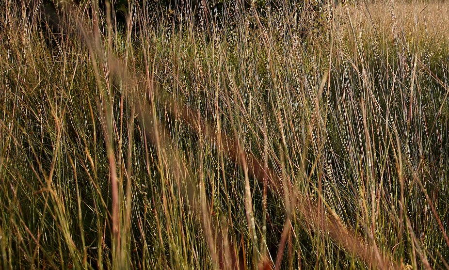 DwU4ni4XgAI_JBR.jpg:large