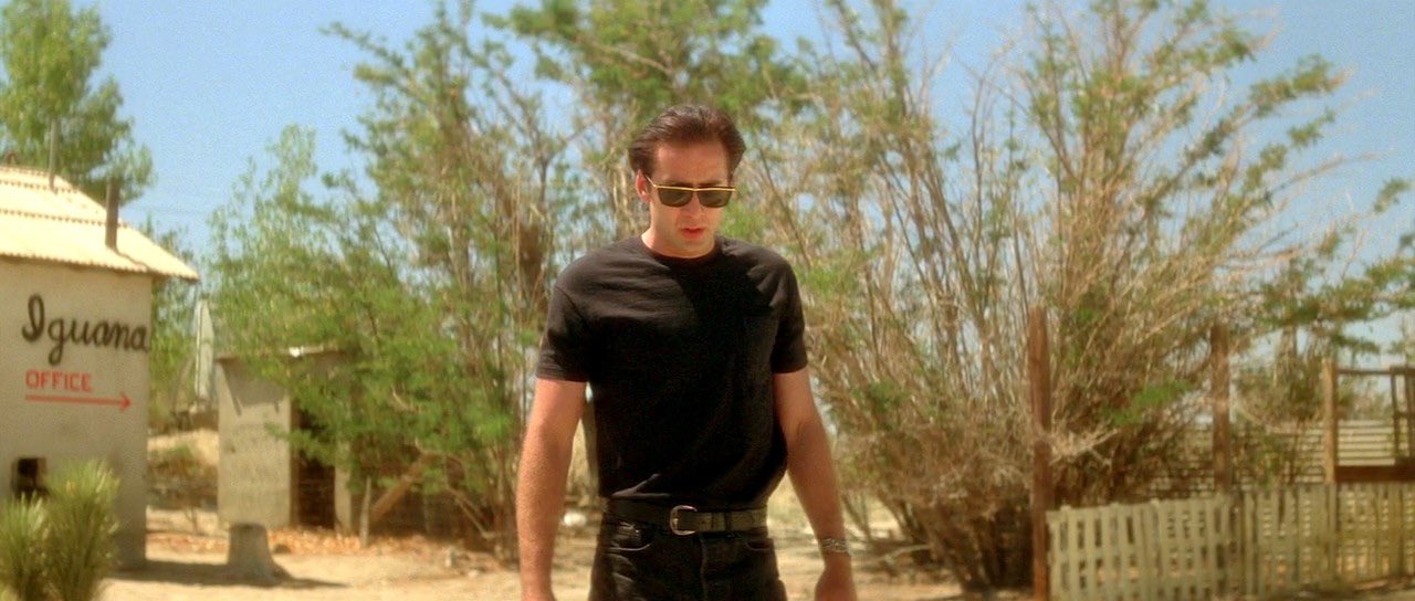 Happy birthday Sailor   Hot Nic Cage via David Lynch s Wild at Heart (1990) 