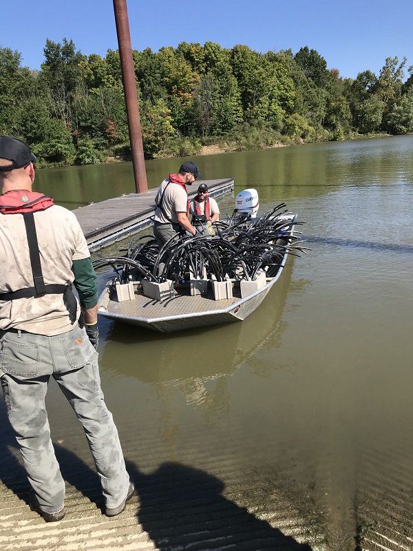 OhioDivWildlife's tweet photo. This past fall, spider block fish attractors were placed near popular shore fishing spots around the Delaware Lake Marina in Delaware County to act as artificial shrubs for fish: https://t.co/vvr4clQ7tL #fishohio #fishmanagement #fishattractor #DelawareLake https://t.co/Tz0nlCe2vN