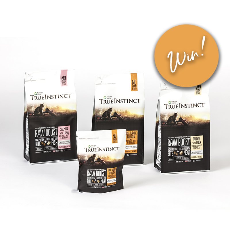 YourCatmagazine's tweet photo. This week, we’ve teamed up with @naturesmenu to give away a bag of True Instinct Raw Boost cat food, to five lucky winners! Don't miss out... https://t.co/5ELg4hMrU0 #win #competition #catcomp https://t.co/9THaZYLW5t